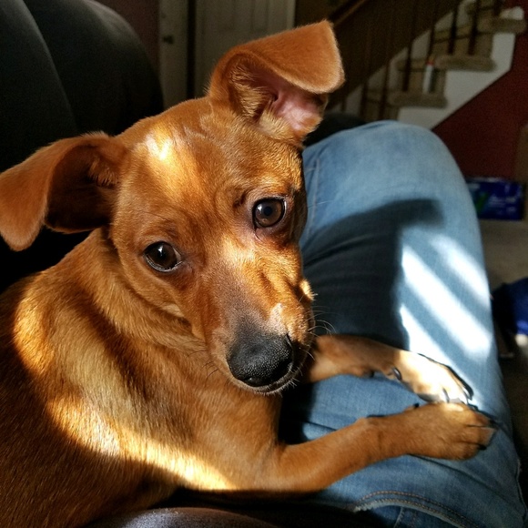 Meet your Posher, Jessica - Picture 1 of 1